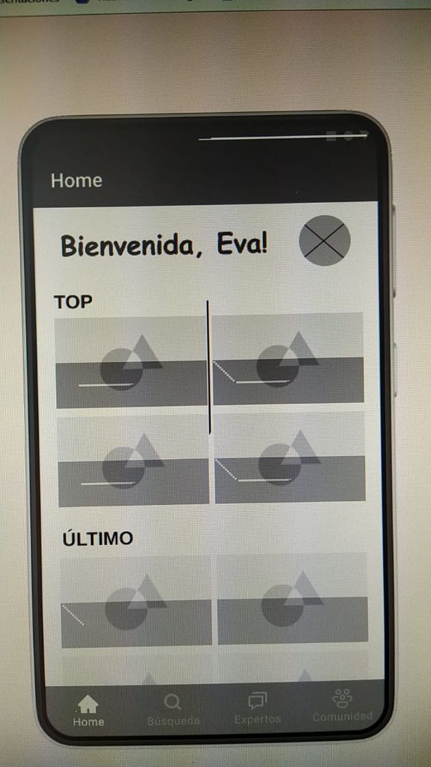 Imagen de la publicación