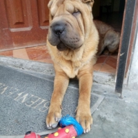 Abner Velásquez