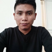 Danis Manchu