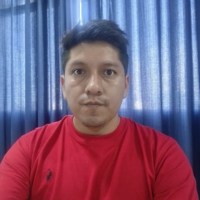 Wilson Mamani Flores