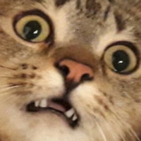 Niki .